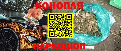 хмурый Шелехов